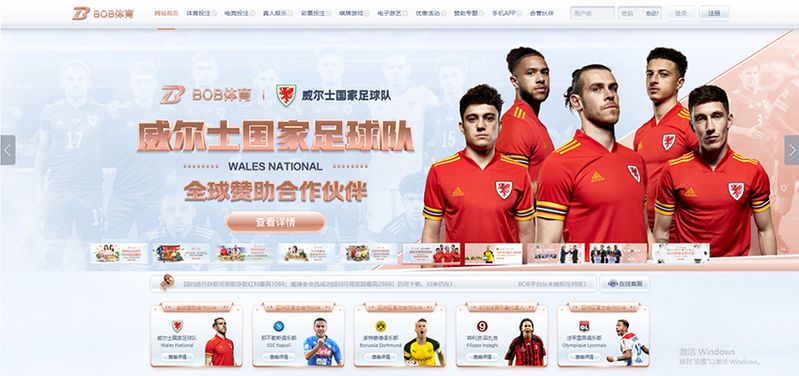 BCMP冠军体育 - 德甲多特蒙德官方合作伙伴 2 BCMP冠军体育简介